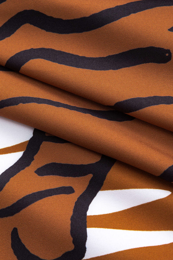 Tummy Control Swimwear And Tiger Up Swimsuit Set