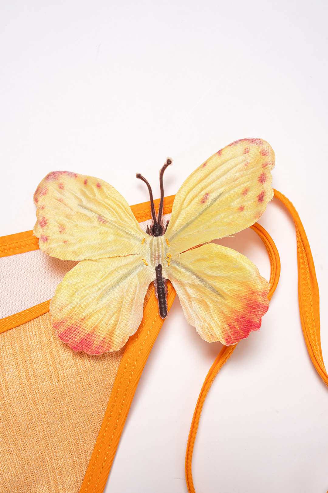 Bikini Butterfly Coral
