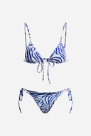 Blue Zebra Print Bikini