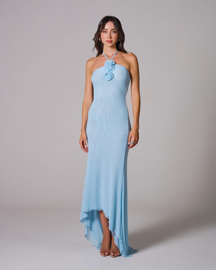 BLAIR Blue Mesh Maxi Elbise