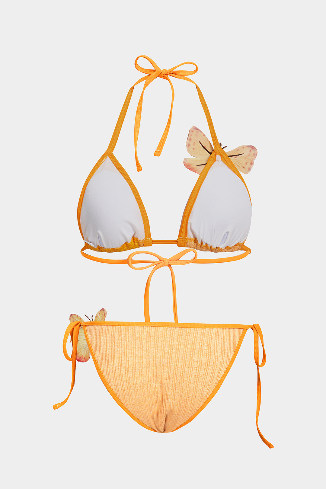 Bikini Butterfly Coral