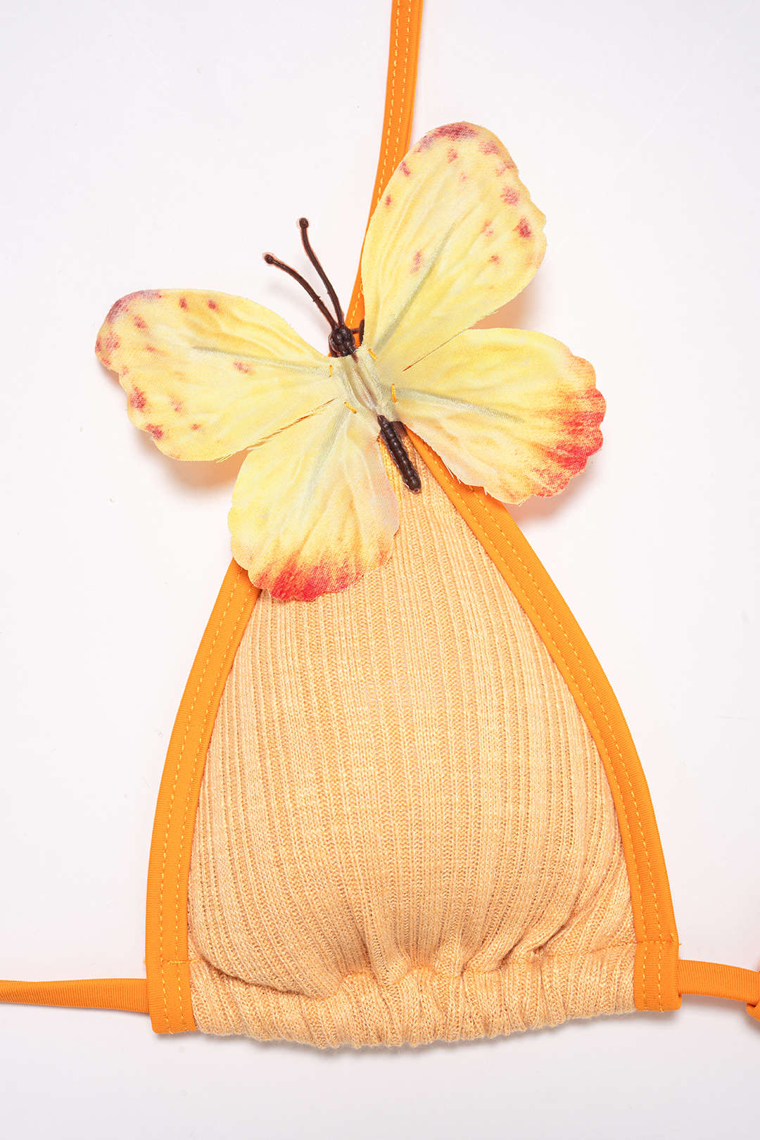 Bikini Butterfly Coral