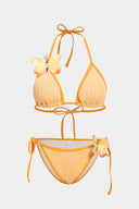 Bikini Butterfly Coral